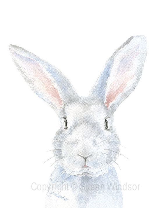 570x713 Gray Bunny Rabbit Watercolor Painting Bunny 8 X 10 Gray - Rabbit Watercolor Painting