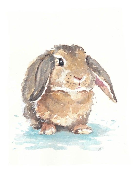 570x712 Little Rabbit Watercolor Painting By Waterinmypaint I Love This - Rabbit Watercolor Painting