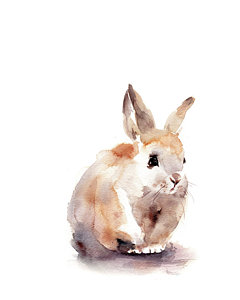 240x300 Rabbit Watercolor Paintings Fine Art America - Rabbit Watercolor Painting
