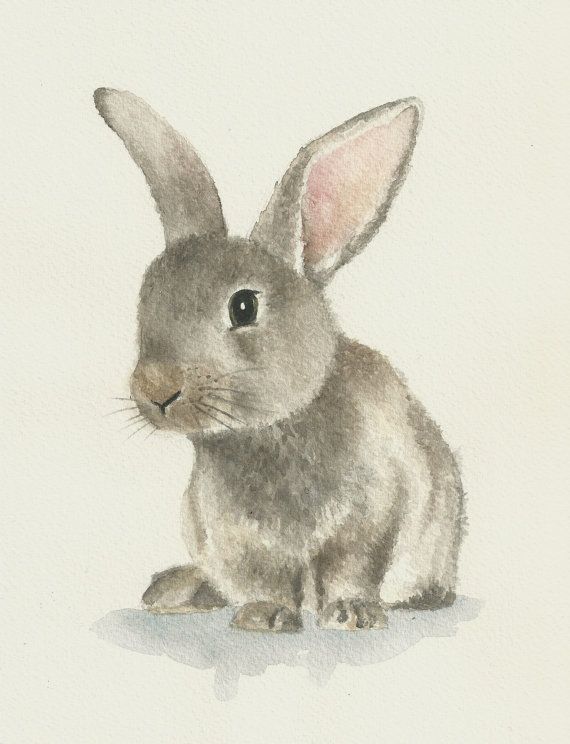 570x744 Rabbit Watercolor Original Bunny Painting By Ddrawings On Etsy - Rabbit Watercolor Painting