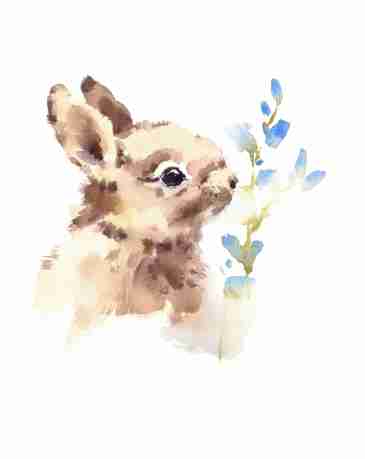 365x459 Rabbit Watercolor Painting Poster - Rabbit Watercolor Painting