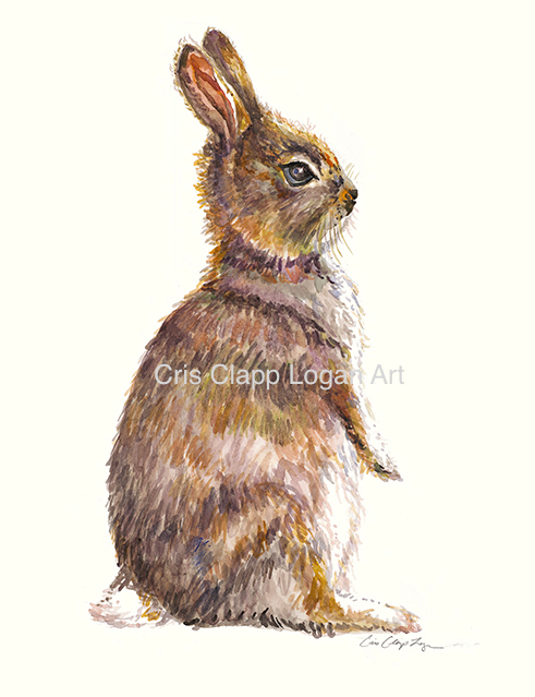 491x639 Baby Bunny Rabbit Original Watercolor Painting - Rabbit Watercolor Painting