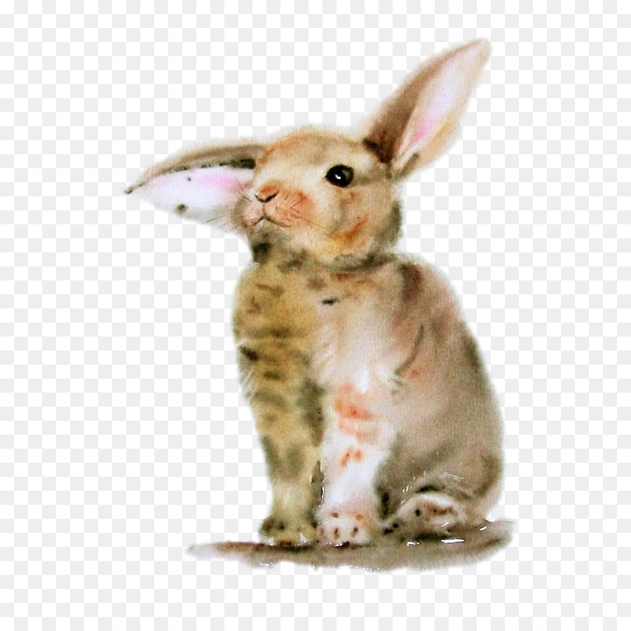 900x900 Bugs Bunny Rabbit Watercolor Painting - Rabbit Watercolor Painting