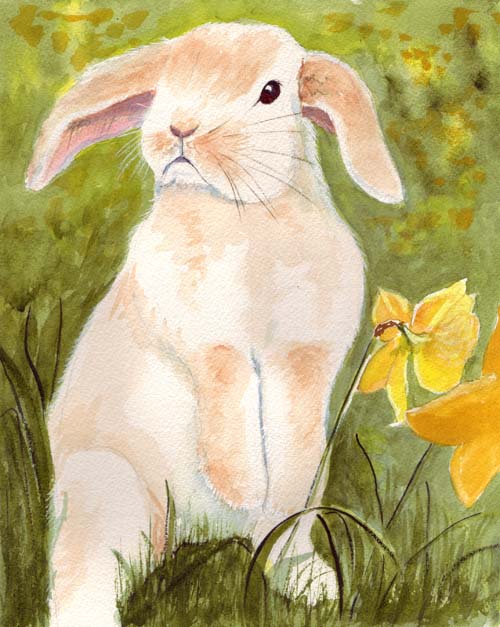 500x627 Bunny's Artwork Floppy Eared Rabbit Watercolor Painting - Rabbit Watercolor Painting