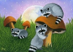 300x213 Aceo, Print Of Painting, Raccoon, Mushroom, Moon, Ebay - Raccoon Painting