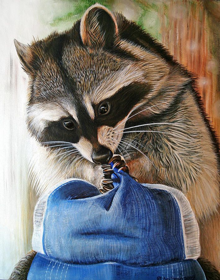 709x900 Raccoon Cap Raccoons, Paintings And Wildlife Art - Raccoon Painting