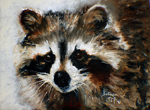 300x220 Raccoon Paintings - Raccoon Painting