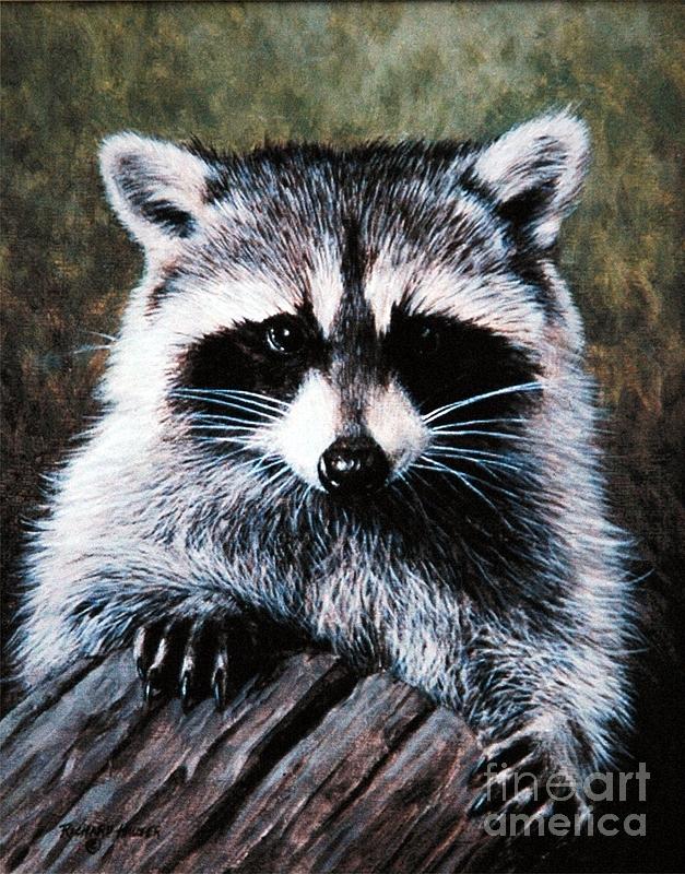 627x800 Raccoon Portrait Painting By Richard Hauser - Raccoon Painting