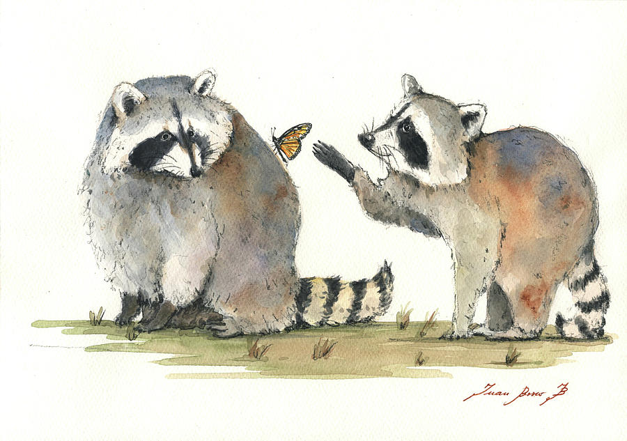 900x633 Two Raccoons Painting By Juan Bosco - Raccoon Painting