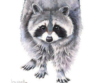 340x270 Watercolor Raccoon Painting Raccoon Art Animal Art - Raccoon Painting