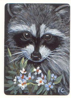 236x326 Raccoon Illustration Vintage - Raccoon Painting