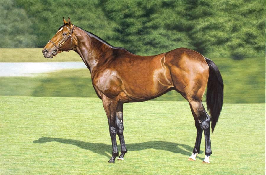 900x593 Horse Portraits. Dog Portraits. Petportraits Thoroughbredfineart - Race Horse Oil Painting Artists