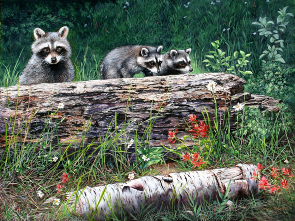 600x450 Painting Caution! Children - Racoon Painting