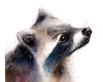 340x270 Raccoon Painting Raccoon Watercolor Original Watercolor - Racoon Painting