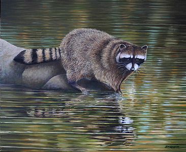 366x299 Racoon - Racoon Painting