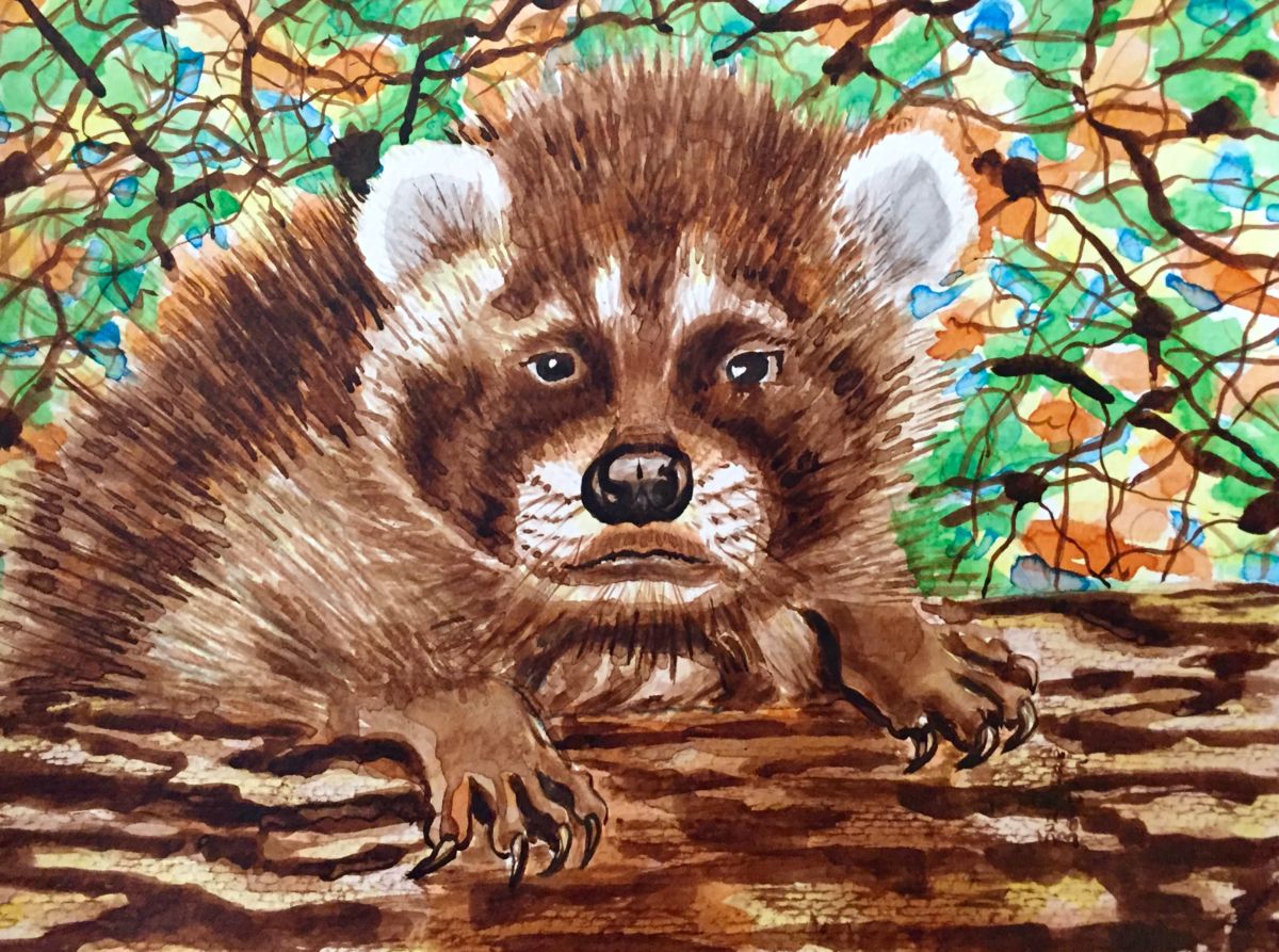 1200x893 Baby Racoon - Racoon Painting