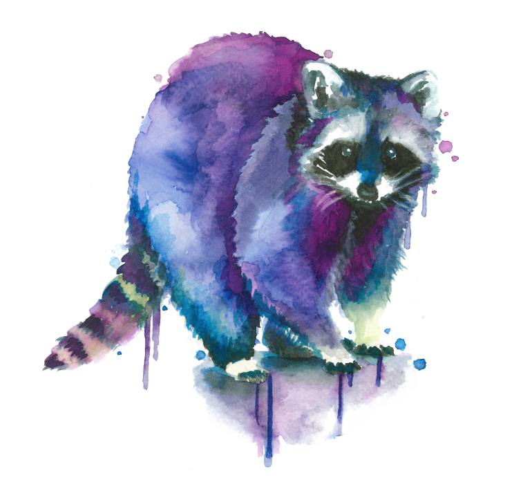 770x697 Saatchi Art Colorful Racoon Painting By Gilbert - Racoon Painting