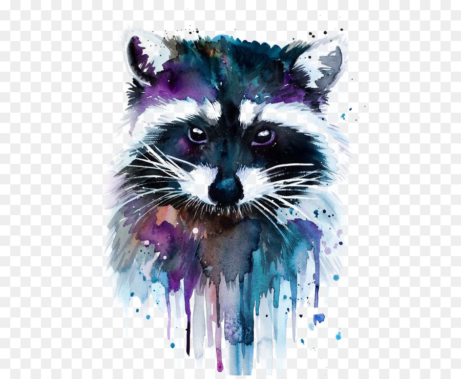 900x740 Watercolor Painting Artist Raccoon - Racoon Painting