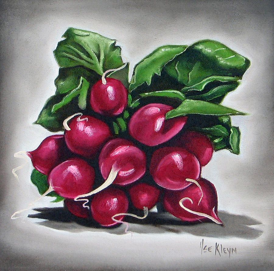 900x892 Radish Canvas Print Canvas Art By Ilse Kleyn - Radish Painting