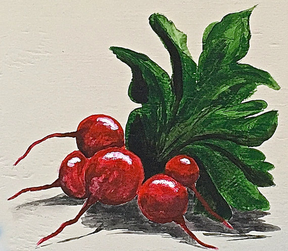570x498 Radish Painting - Radish Painting