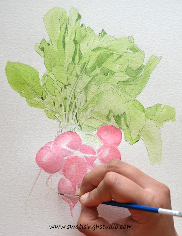 618x800 Swati Singh Art Blog - Radish Painting