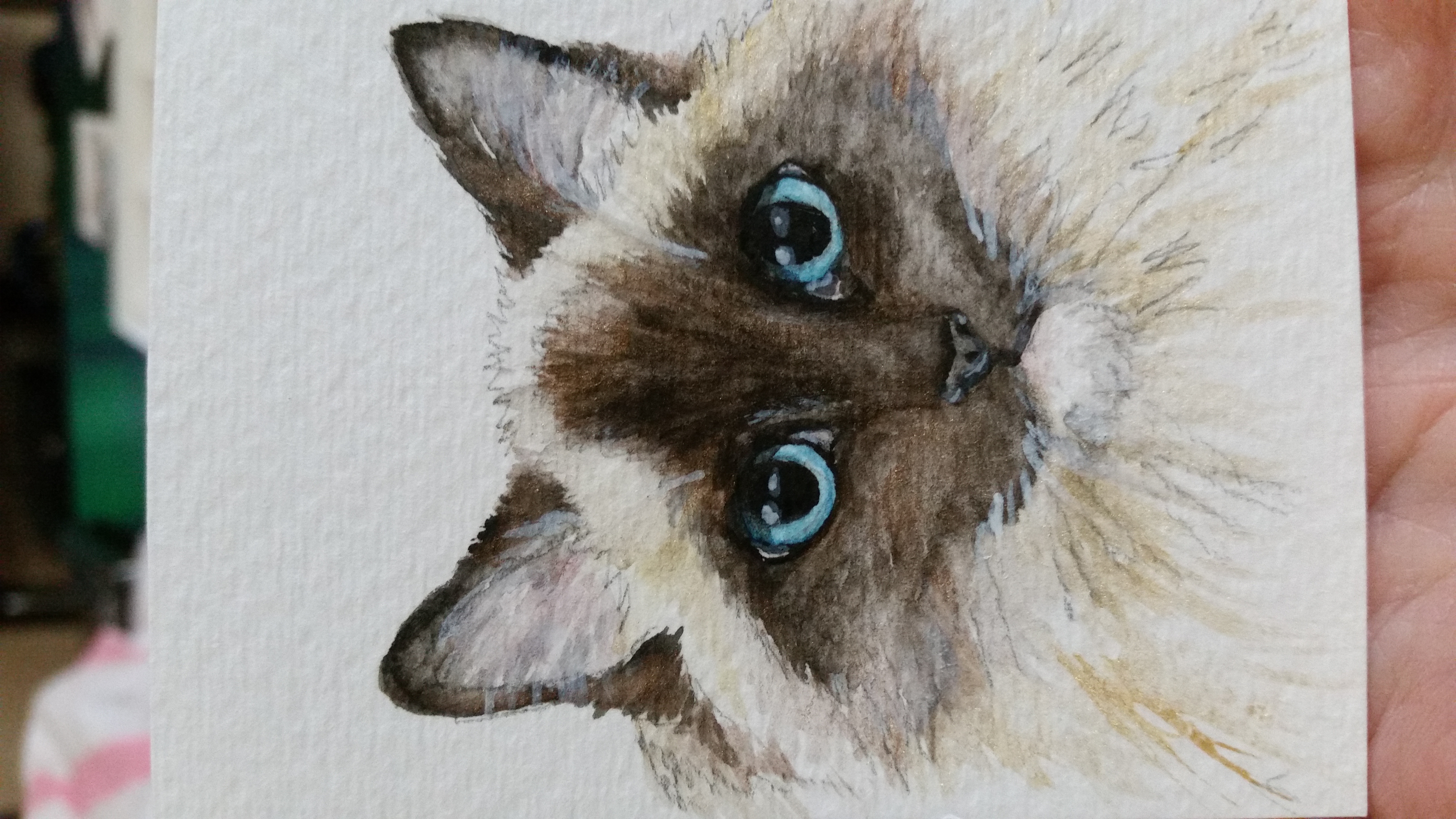 5312x2988 Interview With Cat Artist, Halie French - Ragdoll Cat Painting