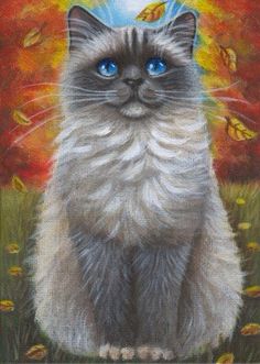 236x331 Ragdoll Cat Kitten Blue Eyes Valentine Original Mini 4x4 Art - Ragdoll Cat Painting