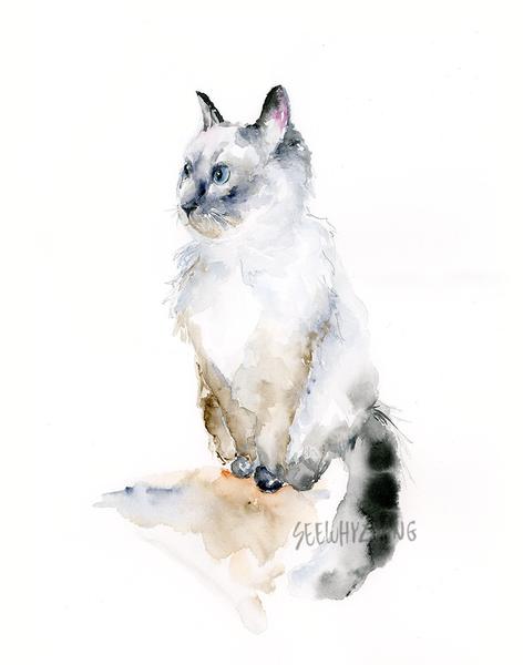 472x600 Ragdoll Cat Original Watercolor Painting - Ragdoll Cat Painting