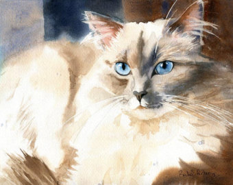 340x270 Ragdoll Cat Painting Etsy - Ragdoll Cat Painting