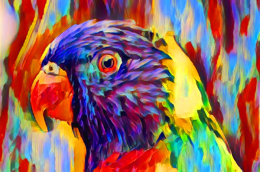 900x596 Rainbow Lorikeet Painting By Chris Butler - Rainbow Animal Painting