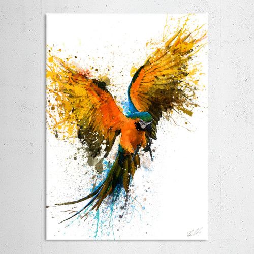 500x500 The Parrot By Swav Cembrzynski Prints - Rainbow Animal Painting