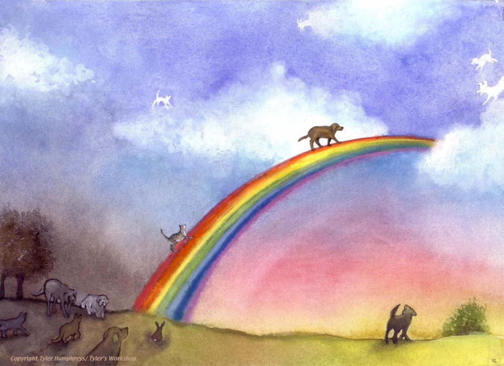 1000x727 Rainbow Bridge - Rainbow Bridge Painting