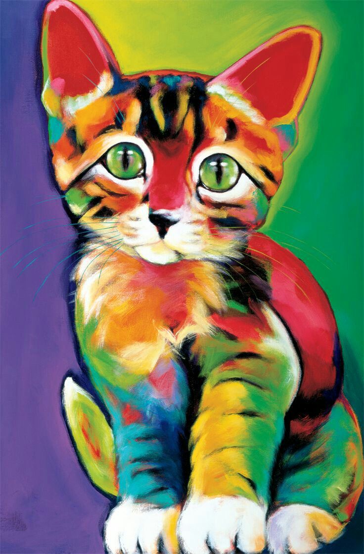 736x1118 Pin By Annamaria Ruga On Gatti Colorati Cat - Rainbow Cat Painting