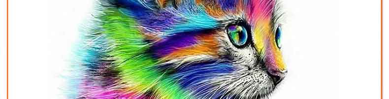 790x202 5d Diamond Embroidery Rainbow Cat Cross Stitch Animal Full Mosaic - Rainbow Cat Painting