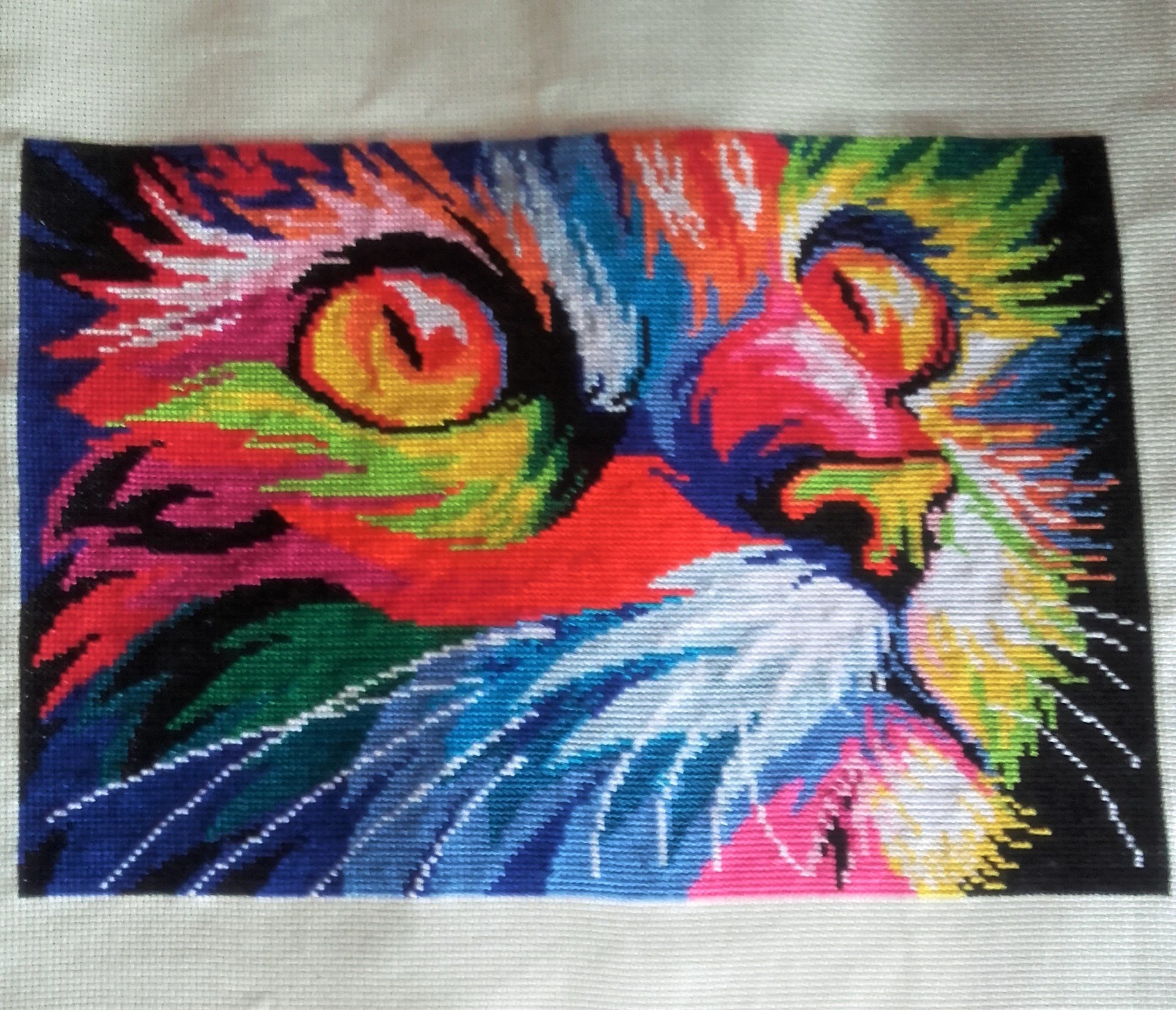 1920x1649 Cross Stitch Time Lapse - Rainbow Cat Painting
