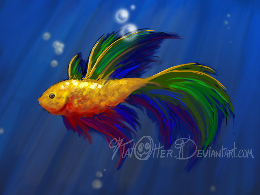 900x675 Animals Backgrounds, 537137 Rainbow Fish Wallpapers, By Anna Rapoport - Rainbow Fish Painting