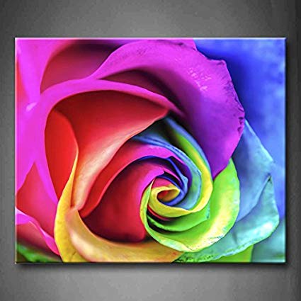 425x425 First Wall Art - Rainbow Flower Painting