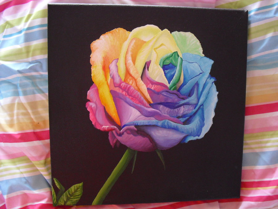 900x675 Rainbow Rose By Angelskissme - Rainbow Flower Painting