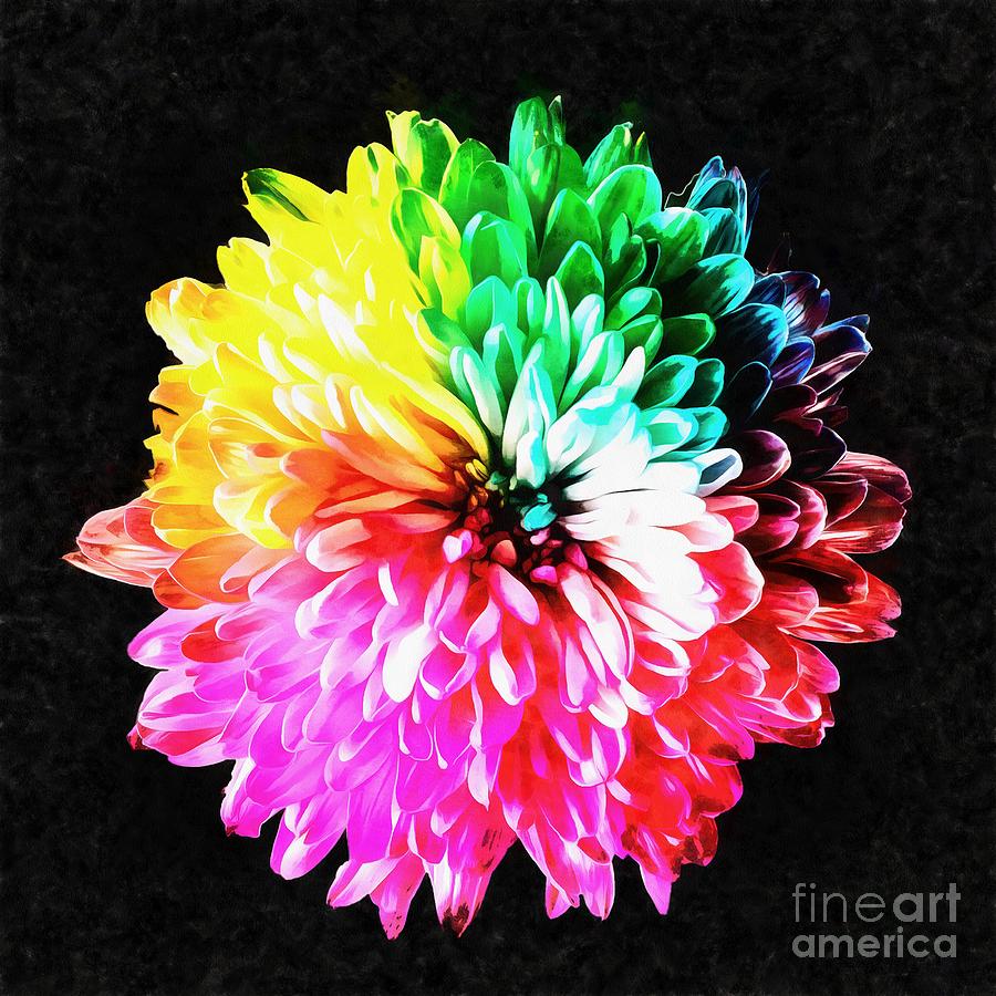900x900 Colorful Rainbow Flower Painting By Edward Fielding - Rainbow Flower Painting