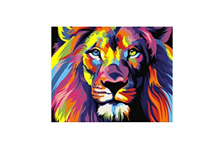 450x300 Paint By Numbers Kit Rainbow Lion Amazon.co.uk Kitchen Amp Home - Rainbow Lion Painting