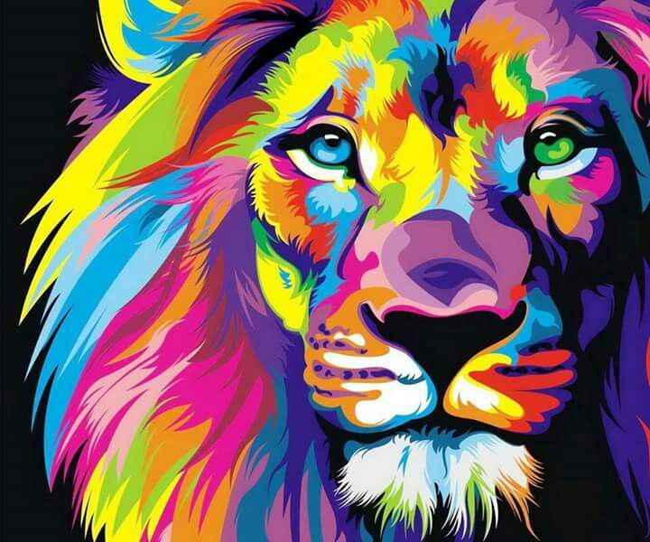 720x600 Rainbow Lion Canvas Ideas Lions And Watercolor - Rainbow Lion Painting