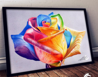 340x270 Rainbow Rose Earringserain5.6 - Rainbow Rose Painting