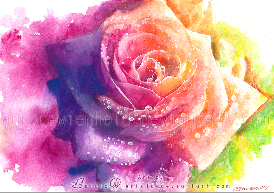 900x635 Rainbow Rose By Roryonarainbow - Rainbow Rose Painting