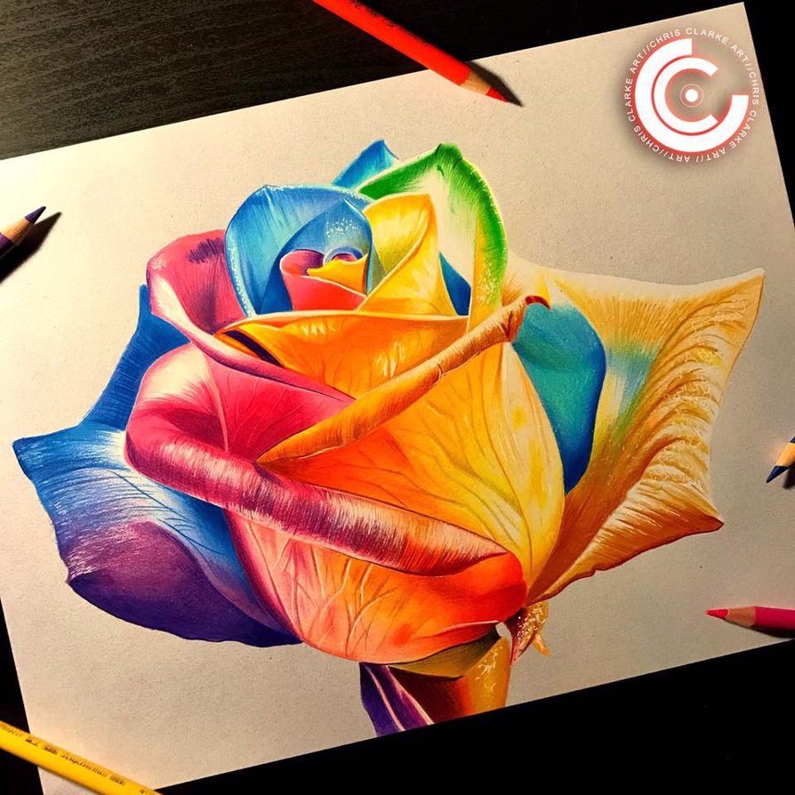 894x894 Rainbow Rose By Clarke Art - Rainbow Rose Painting