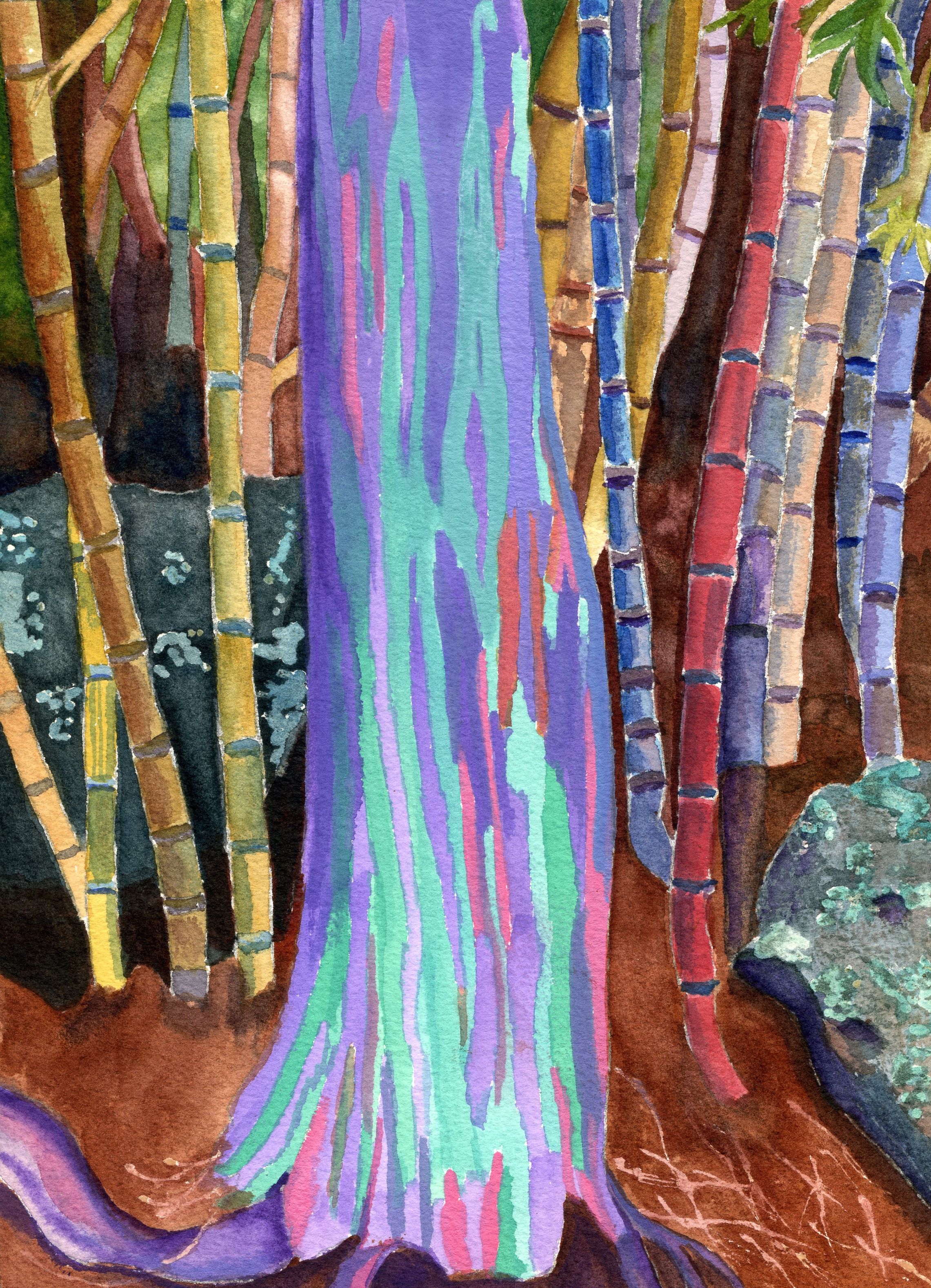 2281x3155 Paintings For Sale Rainbow Eucalyptus Tree Watercolor Painting - Rainbow Tree Painting