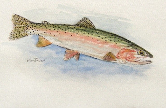 640x418 Original Wildlife Watercolor Painting Coastal Rainbow Trout Fish - Rainbow Trout Jumping Painting
