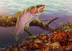 Rainbow Trout Painting
