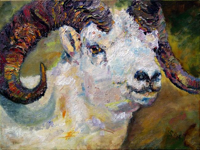 650x488 Dall Sheep Ram Original Oil Painting By Ginette Callaway - Ram Painting