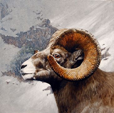 366x365 Lifesize Portrait Of A Ram - Ram Painting