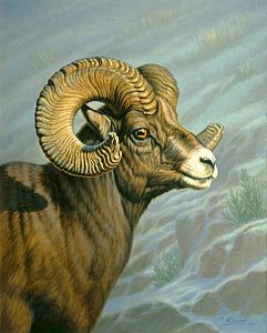 241x300 Ram Paintings Fine Art America - Ram Painting